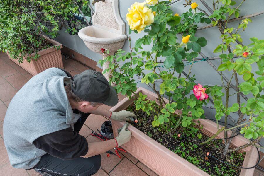 Watering Your Garden Wisely